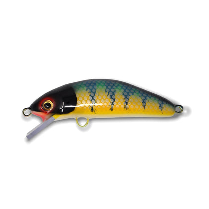 Michigan Perch / White Belly