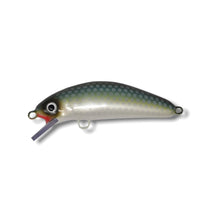 View of Crankbaits Blue Water Baits 6" Fat Chub Crankbait The Grease / Pearl Belly available at EZOKO Pike and Musky Shop