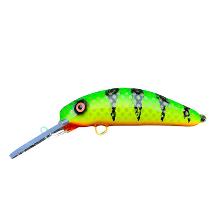 Chartreuse Perch / Orange Belly