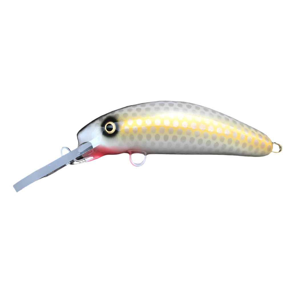 View of Crankbaits Blue Water Baits 6” Fat Herring Pro Crankbait Hamrick Shad / White Belly available at EZOKO Fishing