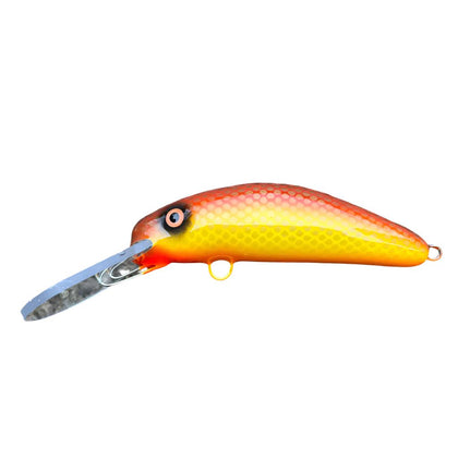 Niagara Walleye / Orange Belly