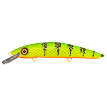 View of Crankbaits Blue Water Baits 9" cisco (Synthetic Cedar) - shallow Crankbait Hot Perch / Orange Belly available at EZOKO Pike and Musky Shop