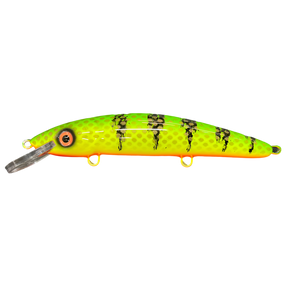 View of Crankbaits Blue Water Baits 9" cisco (Synthetic Cedar) - shallow Crankbait Hot Perch / Orange Belly available at EZOKO Pike and Musky Shop