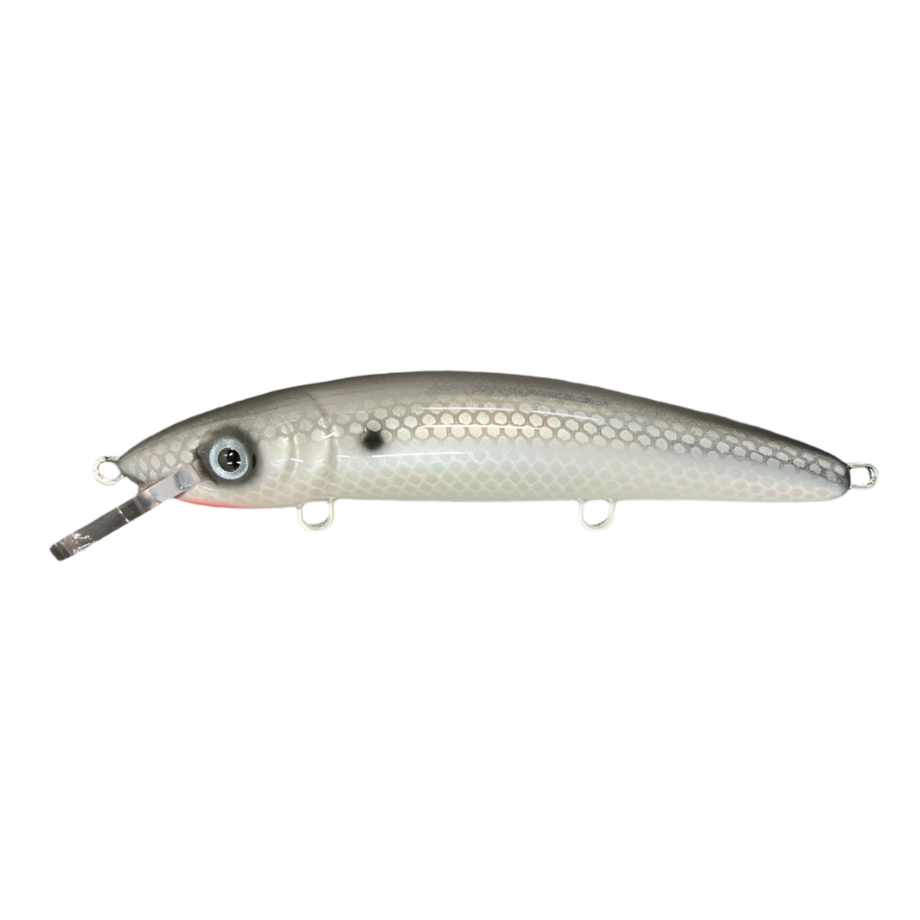 View of Crankbaits Blue Water Baits 9" cisco (Synthetic Cedar) - shallow Crankbait Prism Shad / Pearl Belly available at EZOKO Pike and Musky Shop