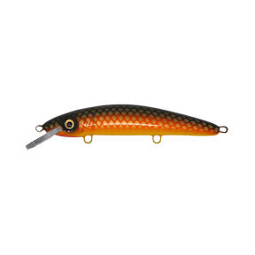 View of Crankbaits Blue Water Baits 9" cisco (Synthetic Cedar) - shallow Crankbait Rock Carp / Yellow Belly available at EZOKO Pike and Musky Shop