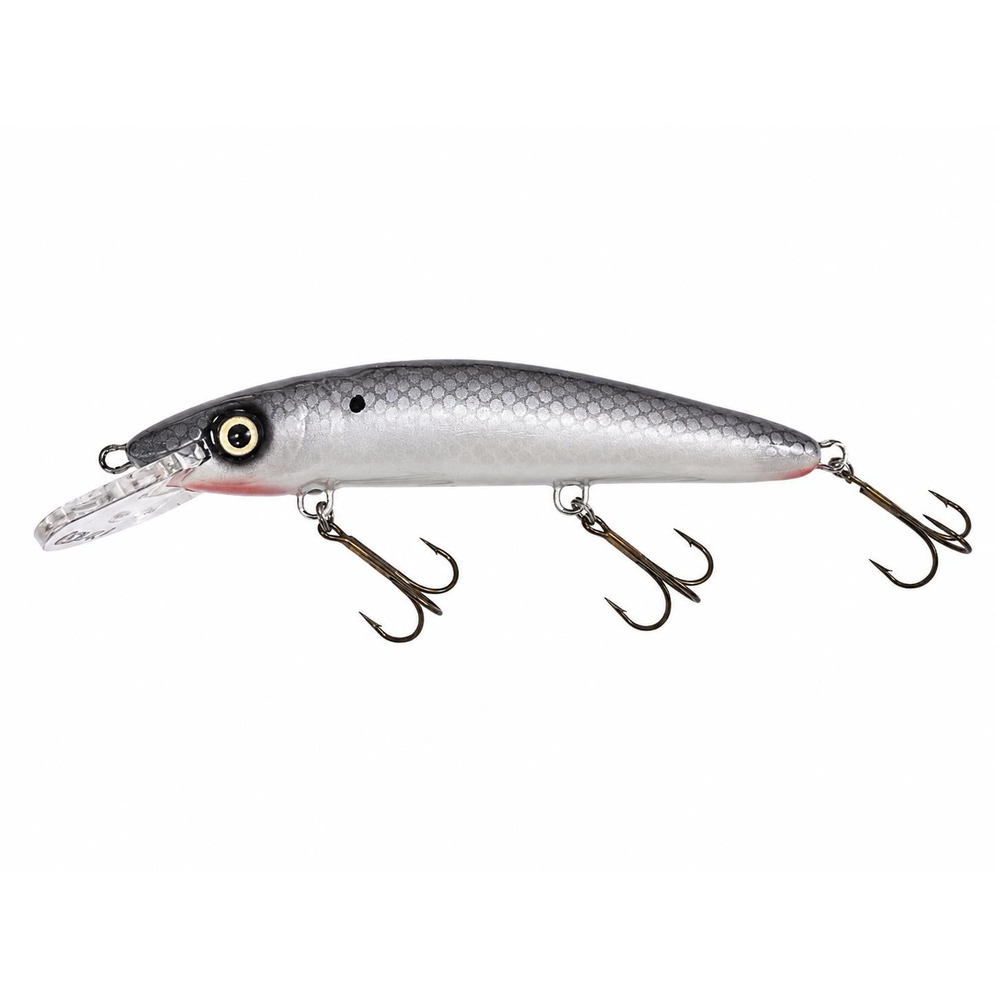 View of Crankbaits Blue Water Baits 9" cisco (Synthetic) - shallow Crankbait Cisco / Pearl Belly available at EZOKO Fishing