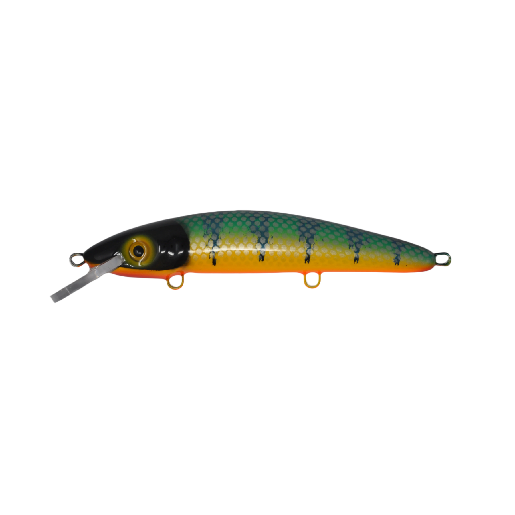 View of Crankbaits Blue Water Baits 9" cisco (Synthetic Cedar) - shallow Crankbait Michigan Perch / Orange Belly available at EZOKO Pike and Musky Shop