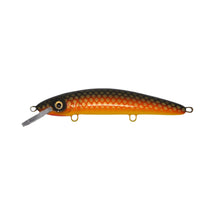 View of Crankbaits Blue Water Baits 9" cisco (Synthetic Cedar) - shallow Crankbait Rock Carp / Yellow Belly available at EZOKO Pike and Musky Shop