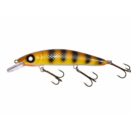 Yellow Walleye / White Belly