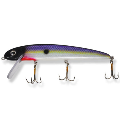 Ohio Shad