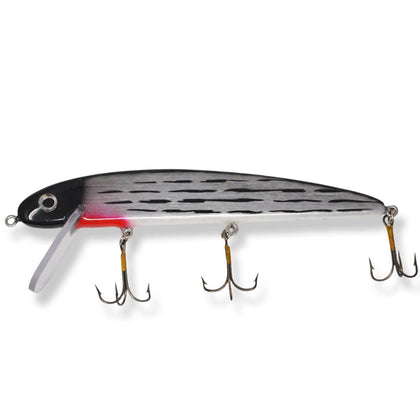 Striper Bass