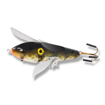 White Belly Perch