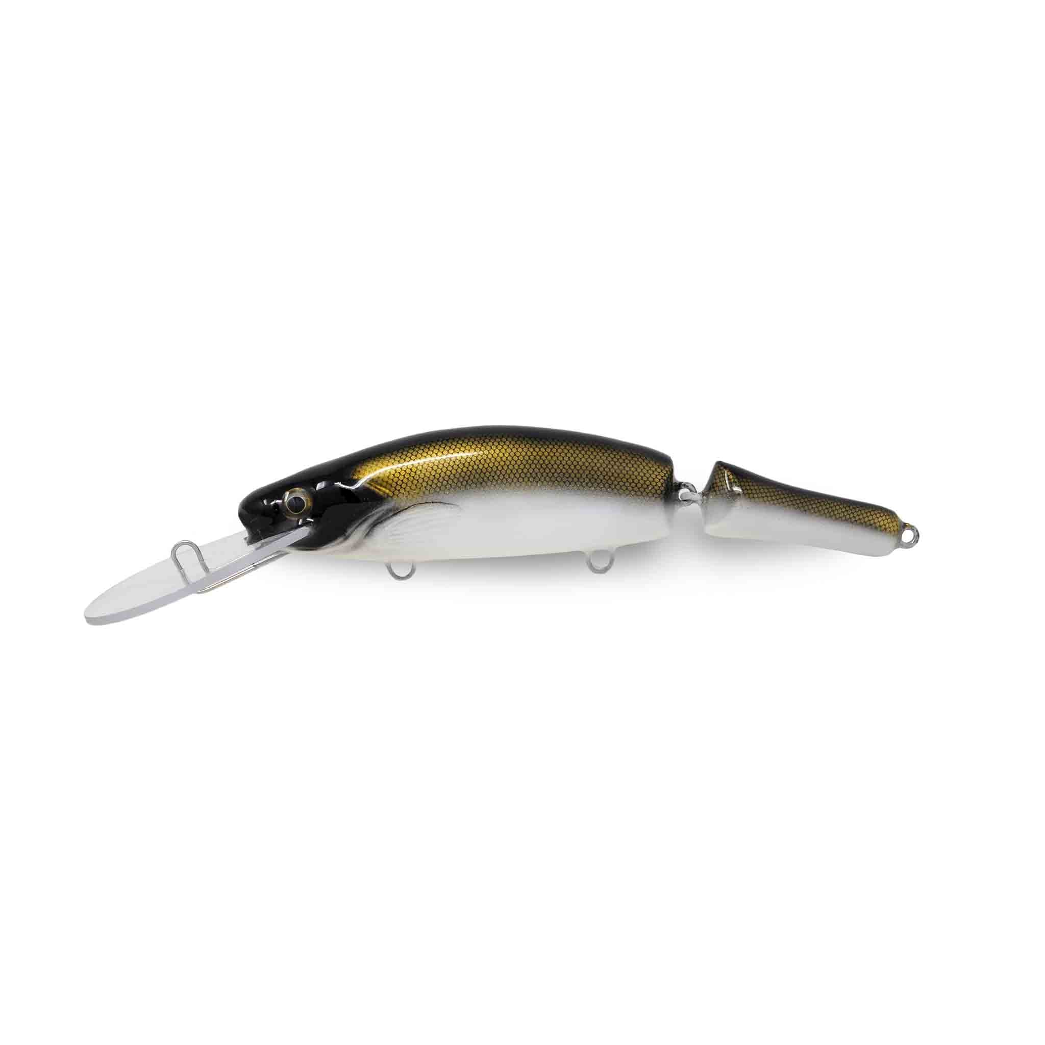 View of Crankbaits Boomstick Jointed Deep Crankbait Golden Sucker available at EZOKO Fishing