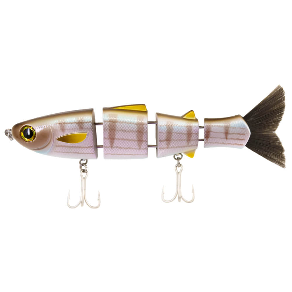 View of Swimbait Bucca Brand Bull Mullet 8" Bunker available at EZOKO Fishing