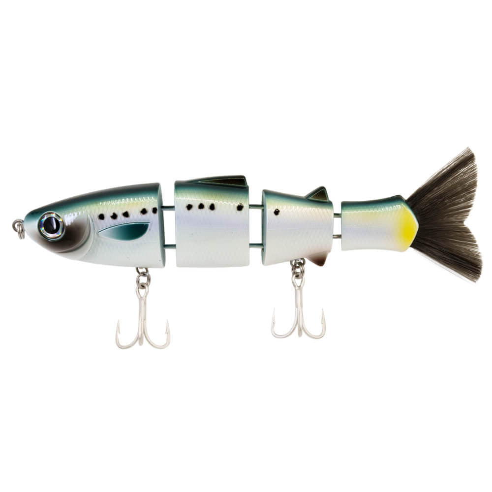 View of Swimbait Bucca Brand Bull Mullet 8" Sardine available at EZOKO Fishing