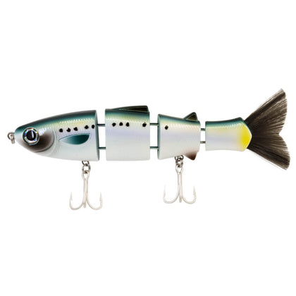 Sardine