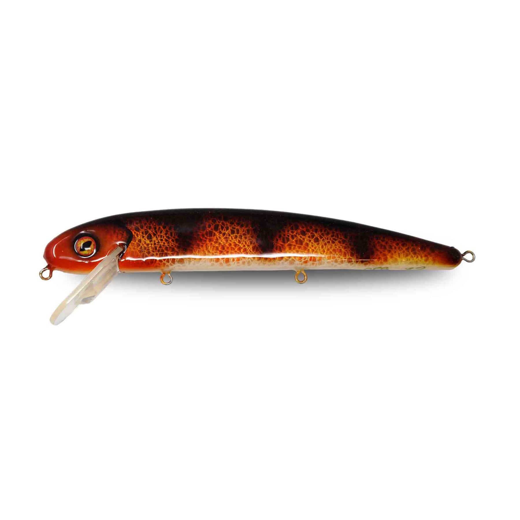 View of Crankbaits Capital Predator Bait Jake Custom Color Crankbait Fire Burbot available at EZOKO Pike and Musky Shop