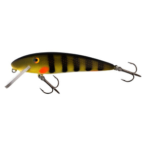 View of Crankbaits Custom X Fury 6.5" Crankbait Natural Perch available at EZOKO Pike and Musky Shop