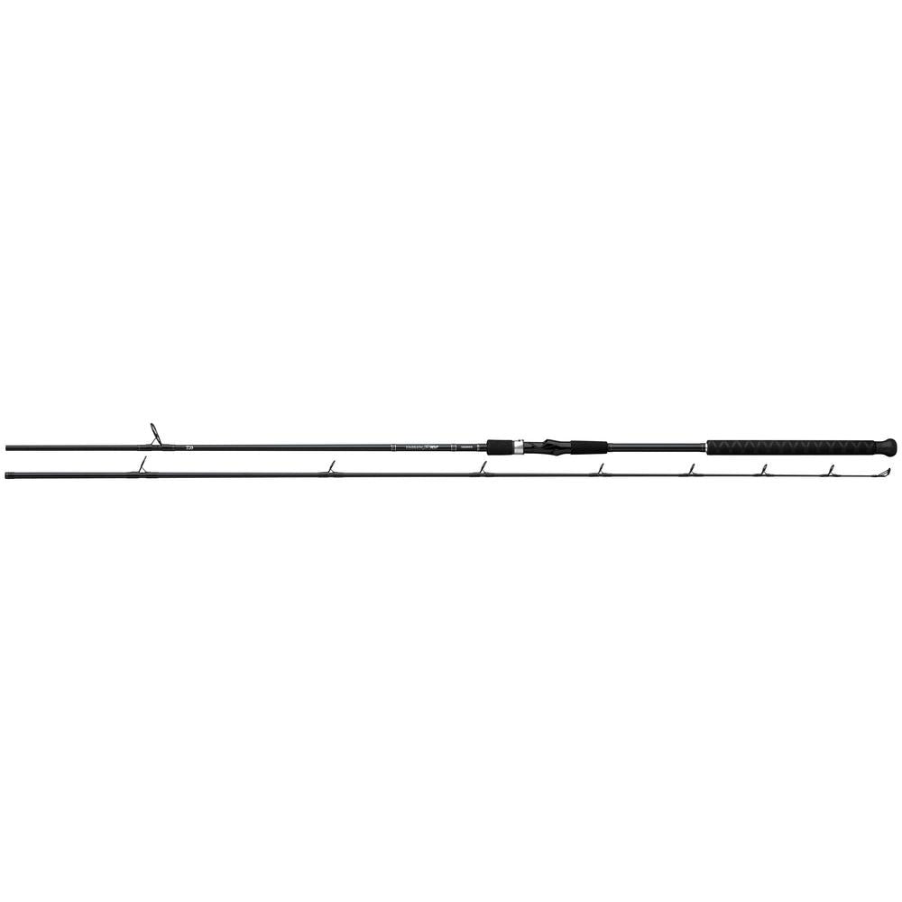 View of Surf Rods Daiwa Emblem Pro Surf Rods available at EZOKO Fishing
