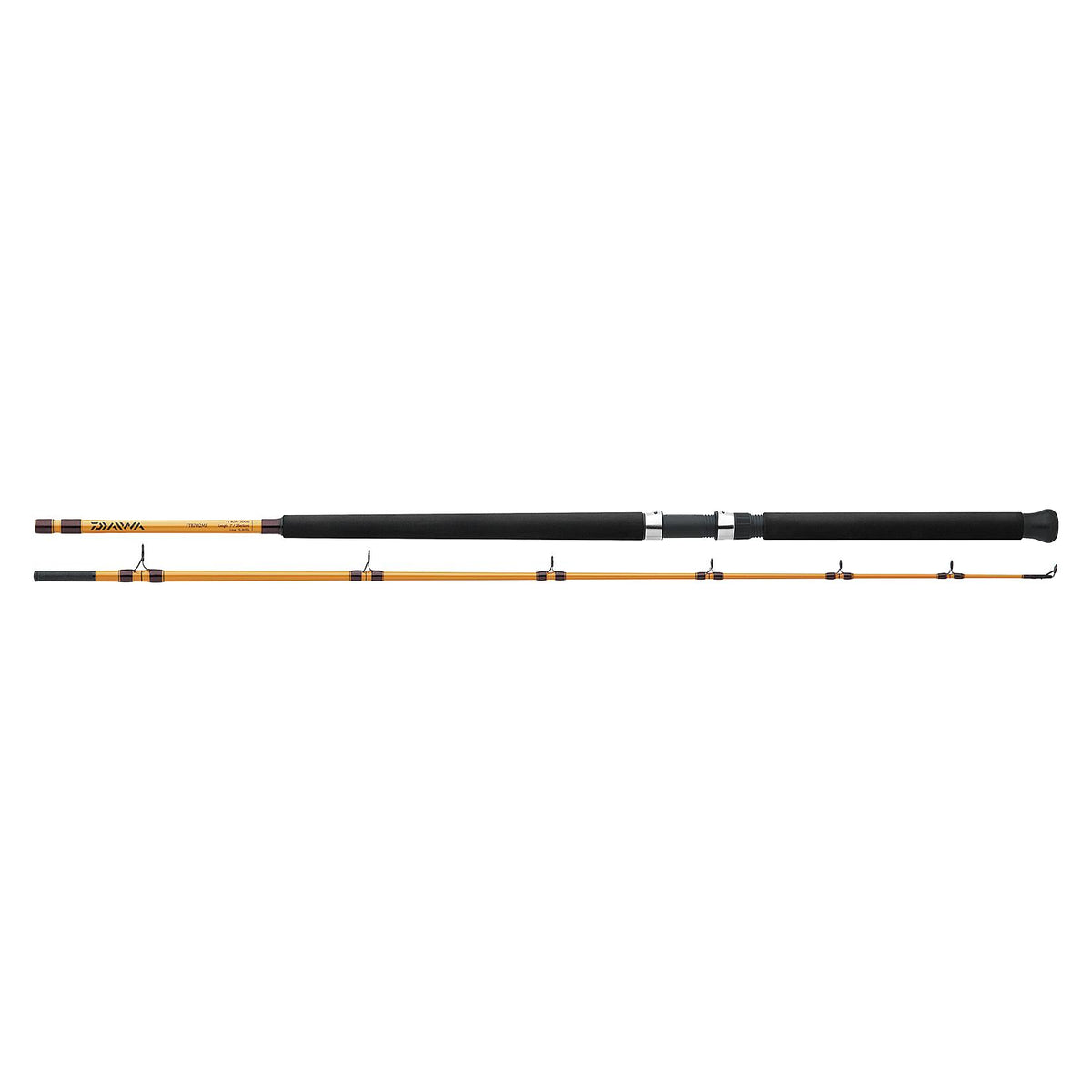 View of Surf Rods Daiwa FT Surf Rods available at EZOKO Fishing