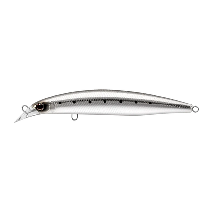Sardine Glow Belly