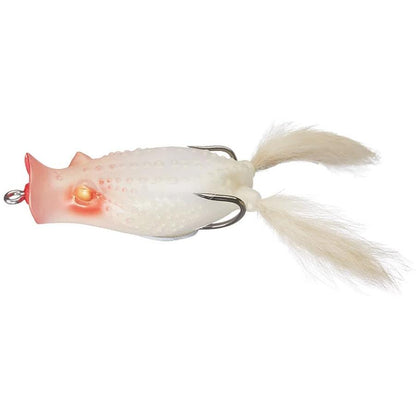 Albino