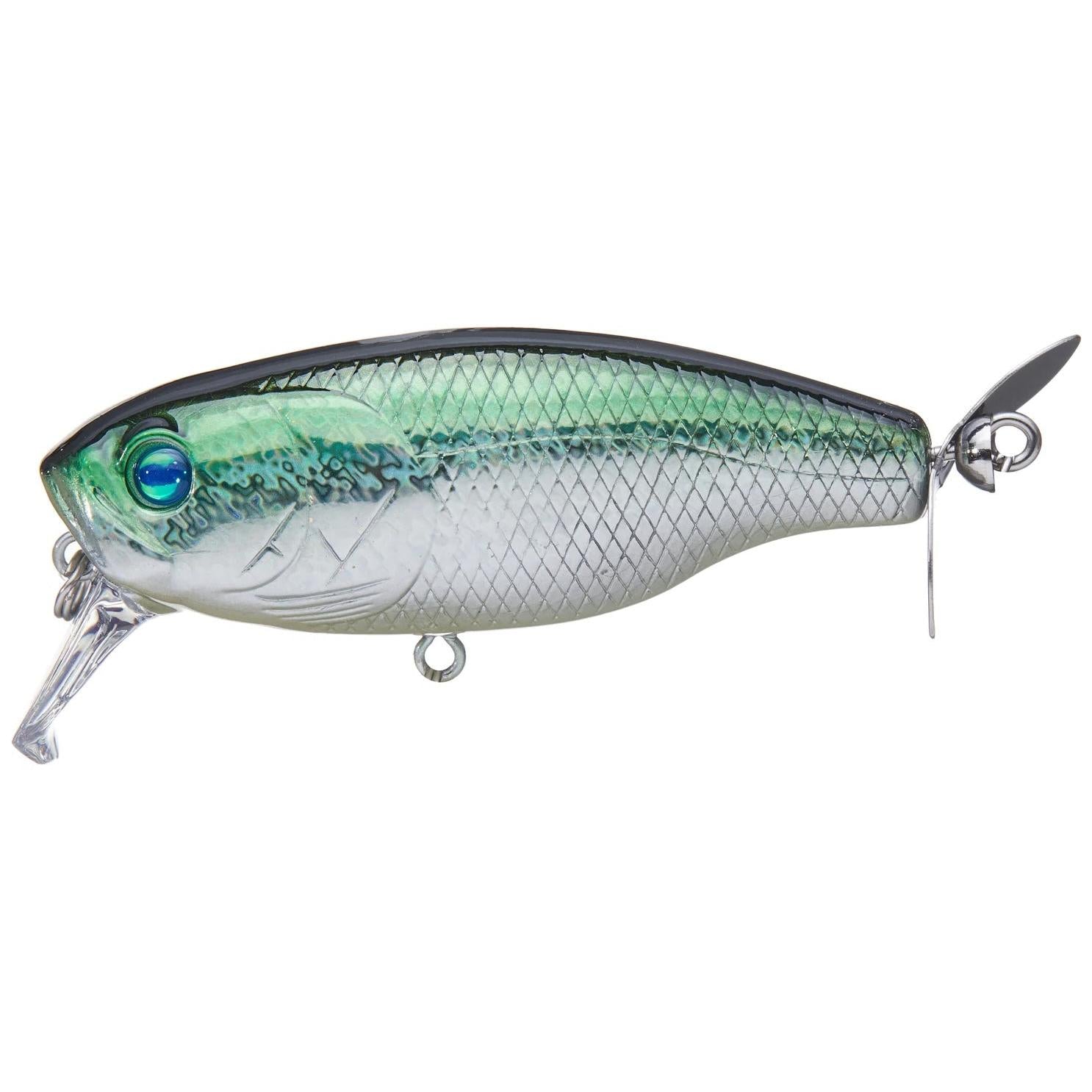 View of Topwaters Deps Buzzjet Jr Wakebait Green Back available at EZOKO Fishing