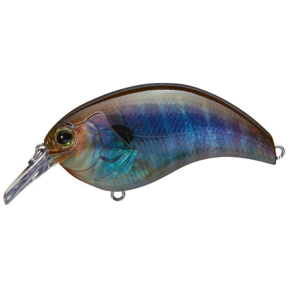 Real Blue Gill