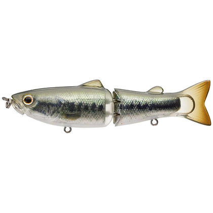 Baby Bass