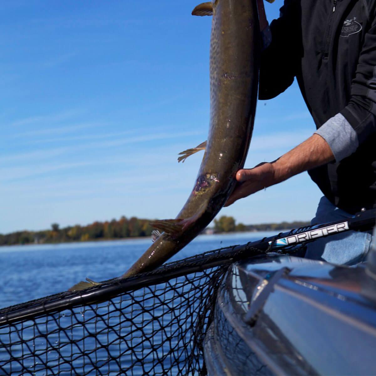 View of Nets Drifter Predator Series® XXL Musky Nets available at EZOKO Pike and Musky Shop