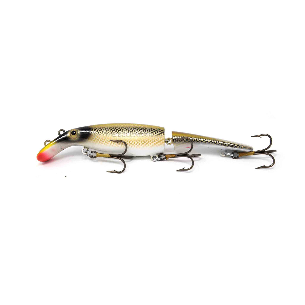 View of Crankbaits Drifter Tackle Believer Jointed 8" Crankbait Sucker available at EZOKO Pike and Musky Shop