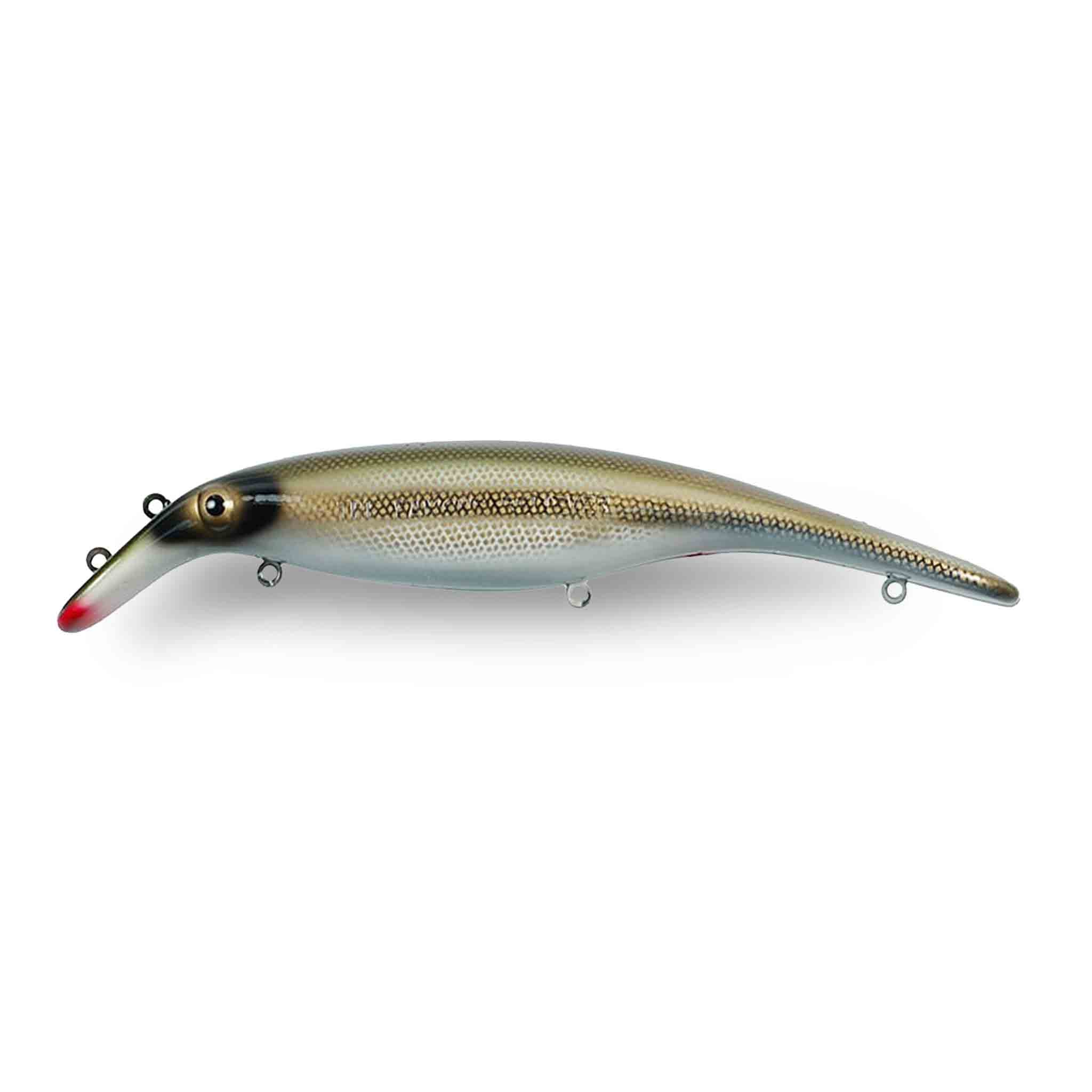 View of Crankbaits Drifter Tackle Believer Straight 10" Crankbait Sucker available at EZOKO Fishing