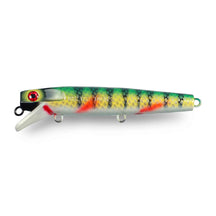 View of Crankbaits Drifter Tackle Muskie Stalker 6'' Straight Crankbait Perch Yellow Belly available at EZOKO Pike and Musky Shop