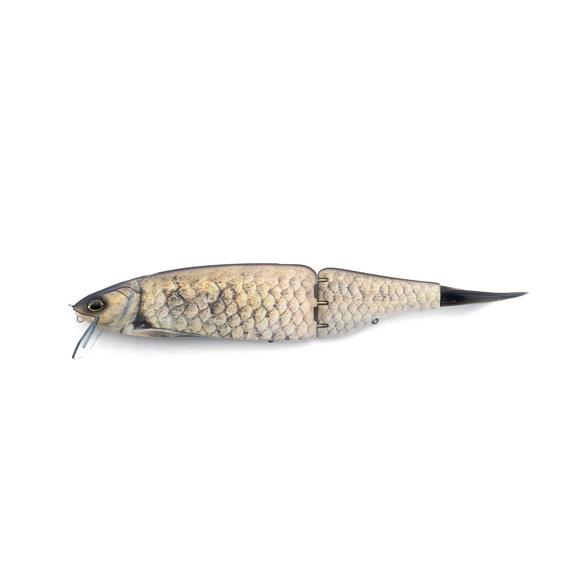 View of Swimbaits DRT Klash Frenzy Swimbait 256 available at EZOKO Fishing