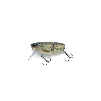 DRT BASS