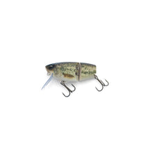 View of Top Water DRT Tiny Joker Ribbit DRT BASS available at EZOKO Fishing