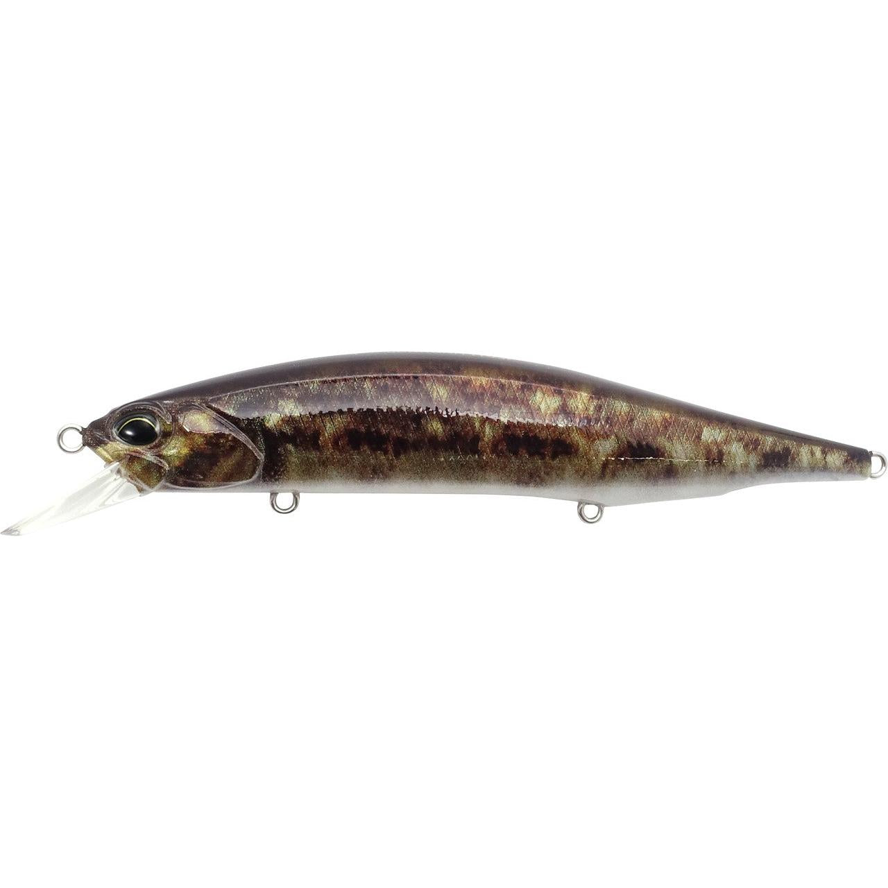 View of DUO Realis Jerkbait 110SP Goby ND available at EZOKO Fishing