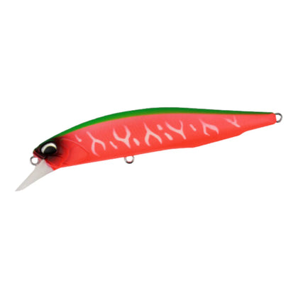 Dragon Fruit Tiger