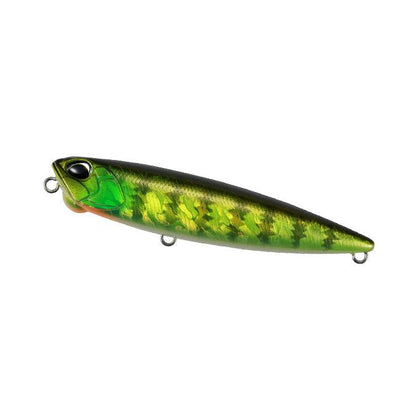 Chartreuse Gill Halo