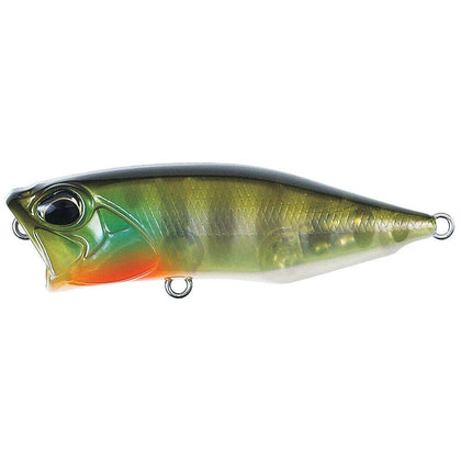 Ghost Gill