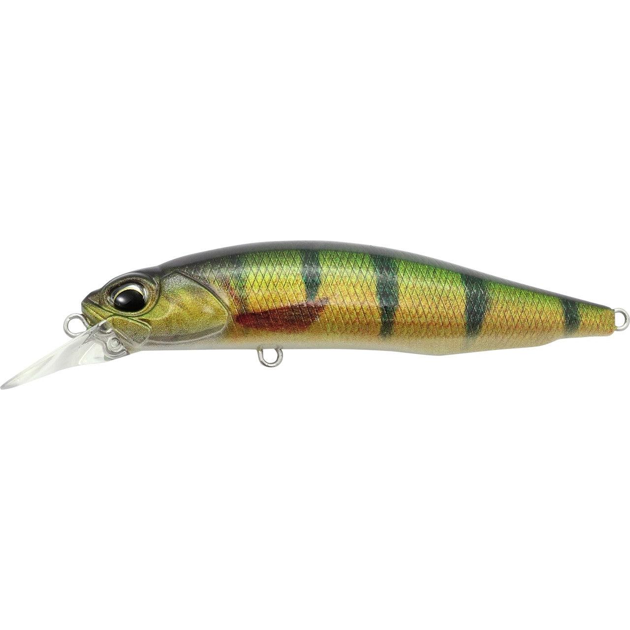 View of DUO Realis Rozante 77SP Perch ND available at EZOKO Fishing