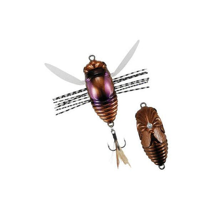 Beetle