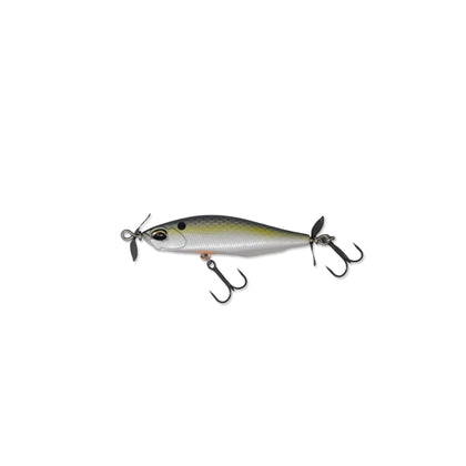 American Shad