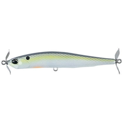 American Shad