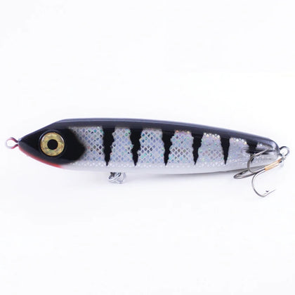 Metallic Scale White Perch