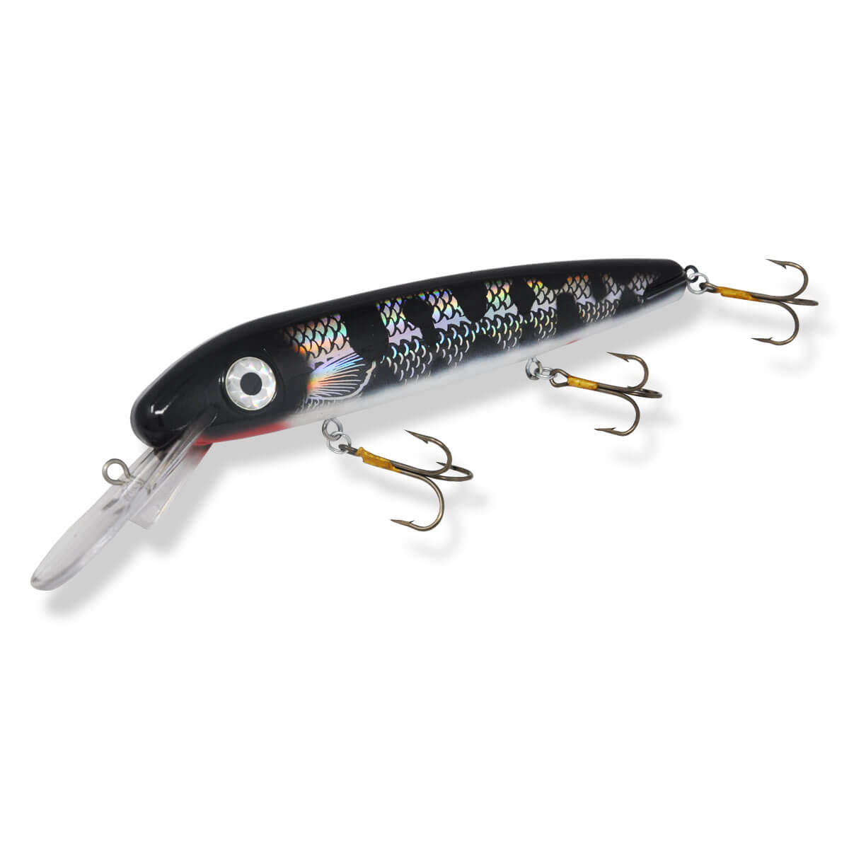 View of Crankbaits ERC Triple D 12'' Suspending Crankbait Black Sucker Holoform available at EZOKO Pike and Musky Shop