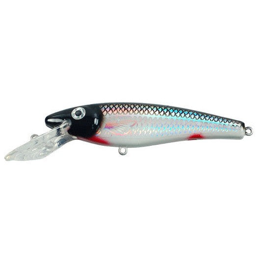 View of Crankbaits Ernie 9″ Crankbait Silver Shiner Holo available at EZOKO Fishing