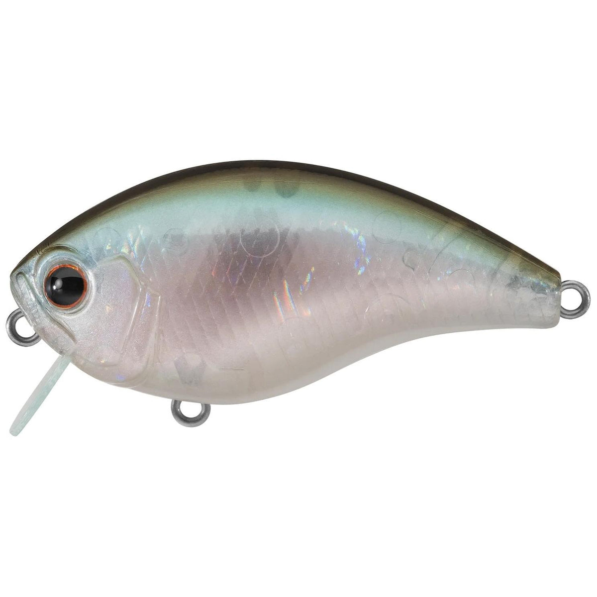 View of Crankbait Evergreen Ch Crankbait Ghost Wakasagi available at EZOKO Fishing