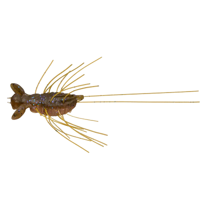 Amber Shrimp