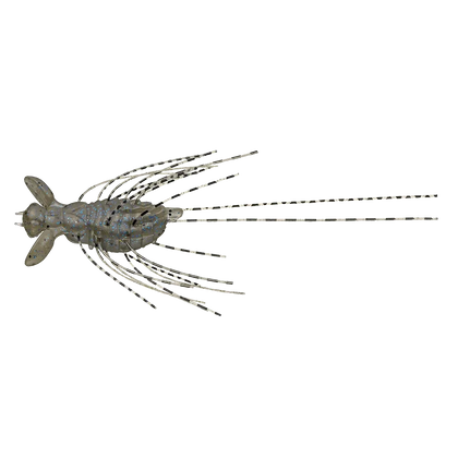 Freshwater Shrimp